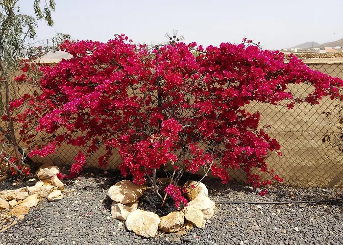 Dunasol Fuerteventura דירה קורלחו