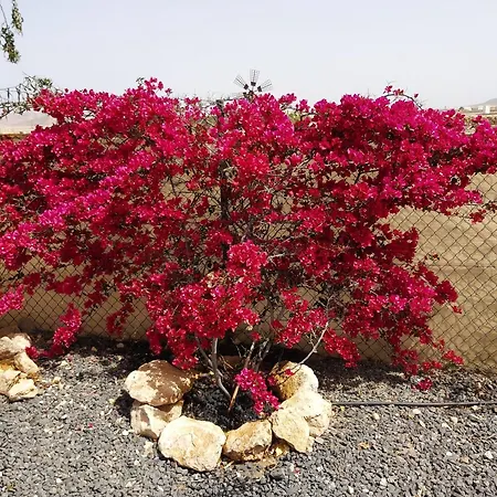 Dunasol Fuerteventura Appartamento Corralejo